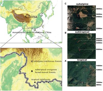 The spatial patterns of diversity and their relationships with environments in rhizosphere microorganisms and host plants differ along elevational gradients